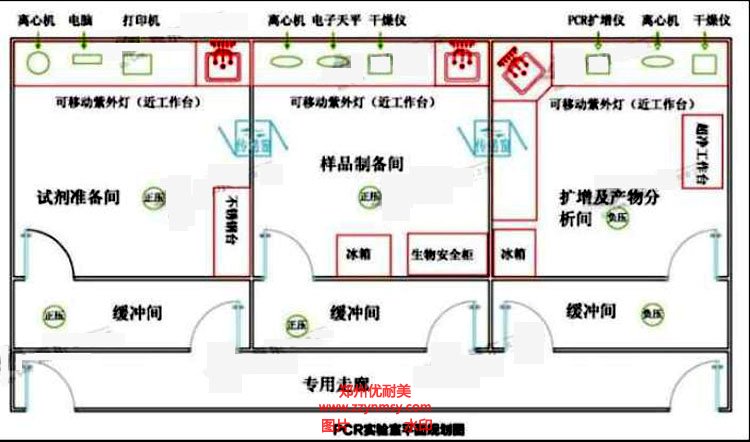 標準PCR實驗室建設方案效果圖