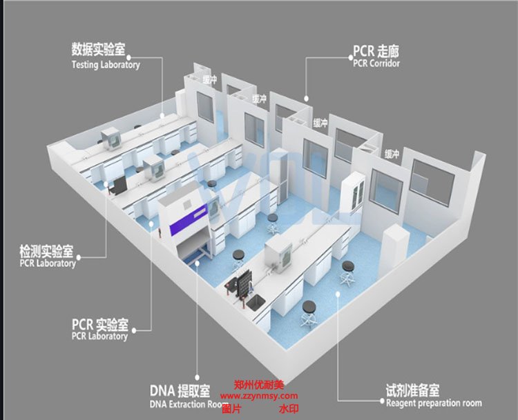 PCR實驗室建設方案布局